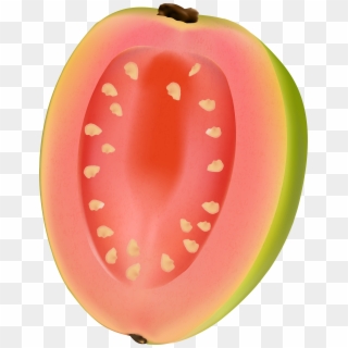 Guava Fruit Png Clip Art Image - Dibujo Guayaba Transparent Png