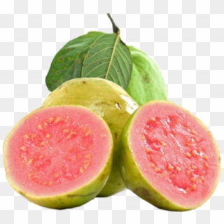 Guava Png Clipart