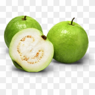 Indian Guava , Png Download - Allahabad Safeda Variety Of Guava Clipart
