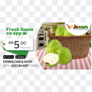#jocom Fresh Guava Offer Just In Rm5 - Common Guava Clipart