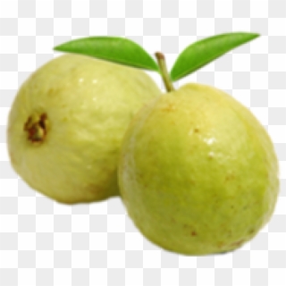 Guava Png Transparent Images - Guava Png Hd Clipart