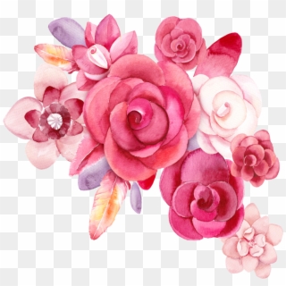 #mq #pink #roses #rose #flowers #flower #garden #nature - Red Rose Watercolor Png Clipart