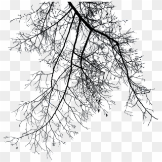 Best Png - Winter Tree Branches Png Clipart