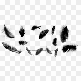 Feather Png Transparent Images Png All - Feather Brush Clipart