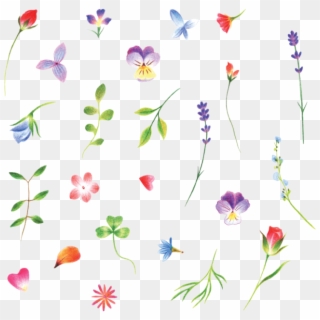 These Tiny Flowers By Jess Chen Have Completely Won - Tiny Flowers Png Transparent Clipart