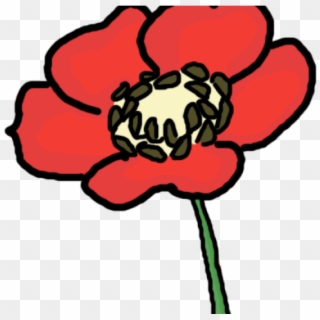 Red Flower Clipart Anzac Poppy - Opium Flower Cartoon - Png Download