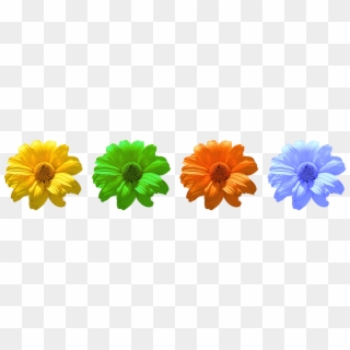 Flower, Flowers, Daisy, Summer - Flores Margaritas Amarillas Png Clipart