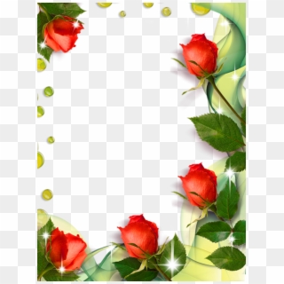 Beautiful Transparent Photo Frame With Roses - Roses Borders And Frames Clipart