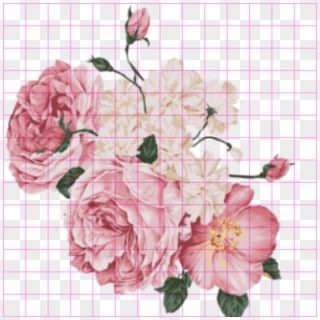 Discover The Coolest - Kpop Flower Png Picsart Clipart