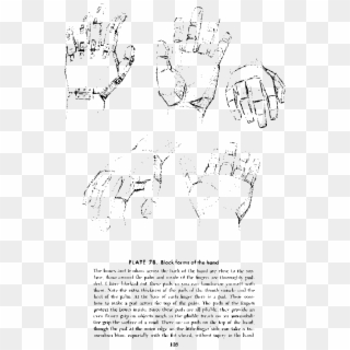 This Free Icons Png Design Of Andrew Loomis Drawing - Loomis Block Hand Clipart