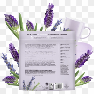 English Lavender Clipart