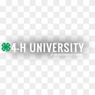4h University - 4 H Clover Clipart