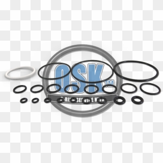 Oem Grade Osk™ 246355 O-ring Kit For Use With Graco® - Circle Clipart