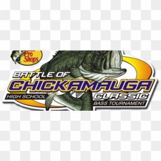 Bass Pro Shops' Battle Of Chickamauga - Bass Clipart