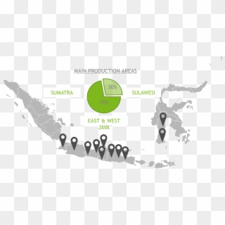 Within Indonesia Java Produces Around 70% Of All Clove - Indonesia Map Gray Clipart