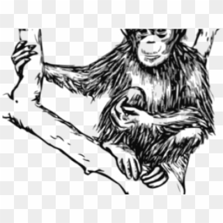 Clipart Of The Day - Monkey Black And White Png Transparent Png