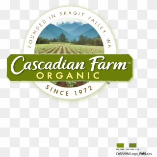 Close Up For Threshed Kernza Perennial Grain Seeds - Cascadian Farms Clipart