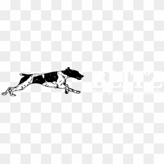 Blitz Pet Professionals - Hunting Dog Clipart Black And White - Png Download
