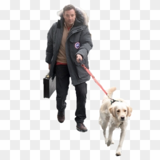 Jimmy Fallon Walking His Dog - Labrador Retriever Clipart