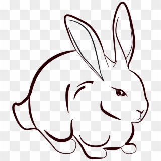 Line Rabbit Png - Rabbit Line Art Png Clipart