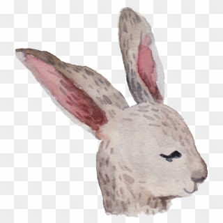 Cartoon Rabbit Png - Domestic Rabbit Clipart