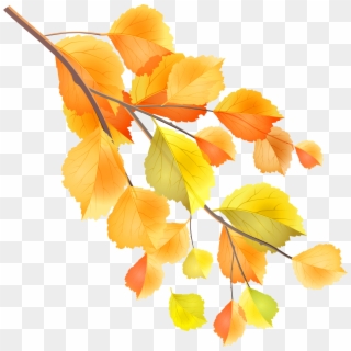 Fall Branches Clip Art Png Transparent Png
