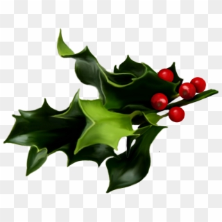 Holly And Ivy Png Pluspng - Christmas Mistletoe Clipart