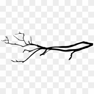 Tree Branch Silhouette Png Clipart