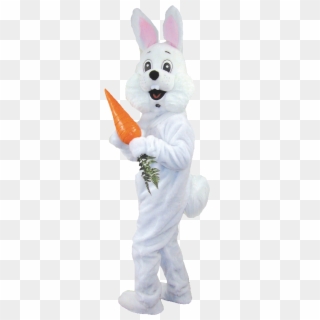 Easter Bunny Png - Transparent Adult Bunny Clipart