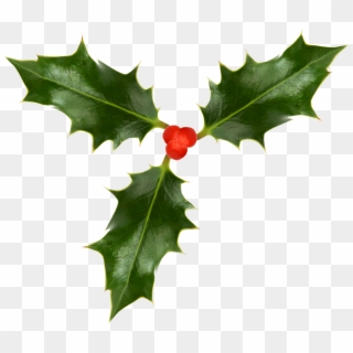 1323 X 1132 8 - Christmas Holly Png Transparent Clipart