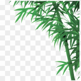 Bamboo Png, Download Png Image With Transparent Background, - Bamboo Clipart