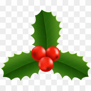 Christmas Holly Png - American Holly Clipart
