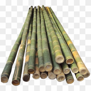 Bamboo Half Cut - Bamboo Pole Vault Poles Clipart