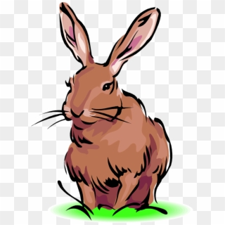 Easter Bunny Clip Art Rabbit Animals Clip Art Downloadclipart - Definition Hare - Png Download