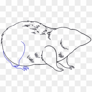 Rat Clipart Transparent Png - Drawing