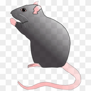 Clipart Rat Cute Rat - Cute Rat Clipart - Png Download