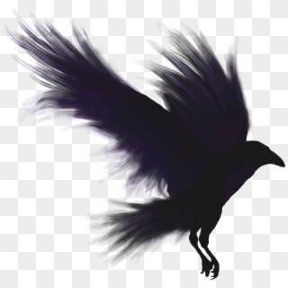 Crows Shadow Emblem Clipart