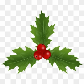 Free Png Christmas Holly Mistletoe Png Images Transparent - American Holly Clipart
