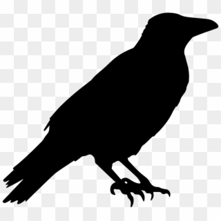 Crow, Raven, Animal, Halloween, Black, Dark, Bird - Crow Vector Clipart