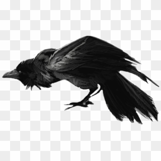 Banner Download Crow Clipart Scary - Raven Drawing Evil - Png Download