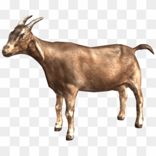Download Goat Png Images Background - Transparent Background Goats Png Clipart