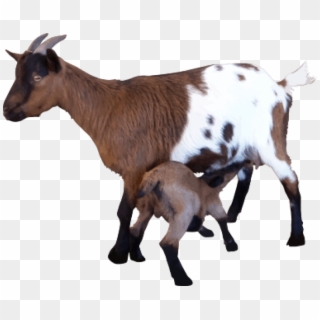 Free Png Download Goat Png Images Background Png Images - Goats Png Clipart