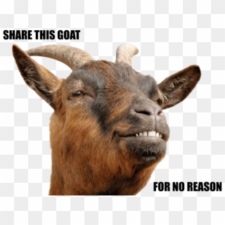 Goat Png Download Image - Goat Stock Clipart