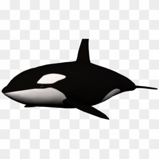 Black Whale Clipart - Killer Whale No Background - Png Download