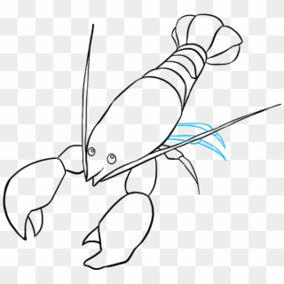 How To Draw - Drawings Of Yabbies Clipart