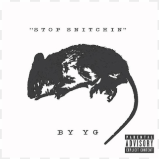 Stop Snitchin' - Yg Stop Snitchin Clipart