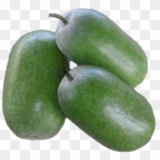 Ash Gourd Png Clipart