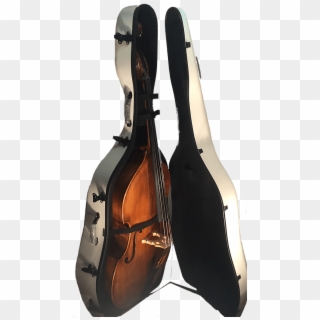 Bass Violin Clipart