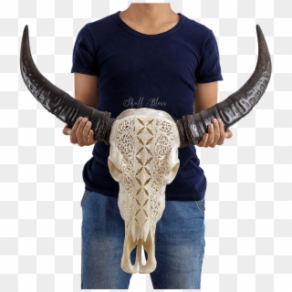 Carved Buffalo Skull - Bull Clipart