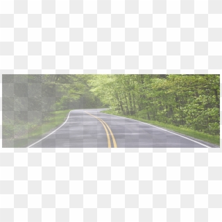Winding Road Banner - Road With Trees On Both Clipart